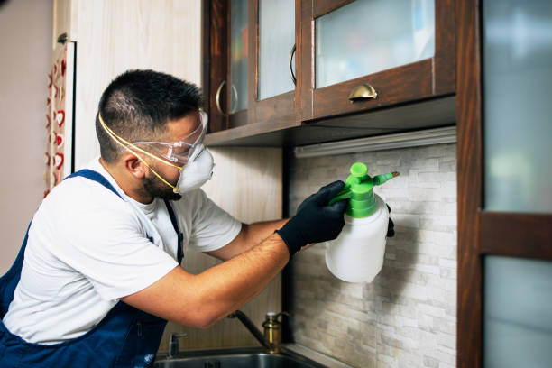 Best Affordable Pest Control Services  in Parkville, MO