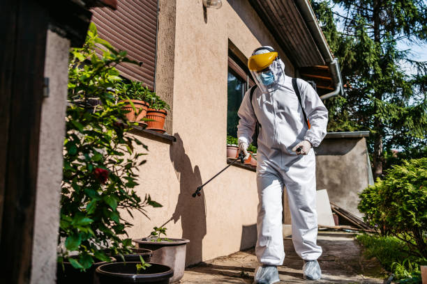 Best Cockroach Control Services  in Parkville, MO