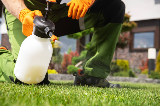 Professional Pest Control in Parkville, MO