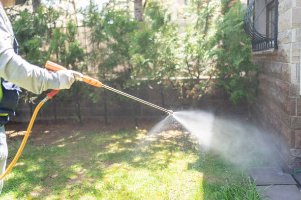 Best Rodent Control Near Me  in Parkville, MO