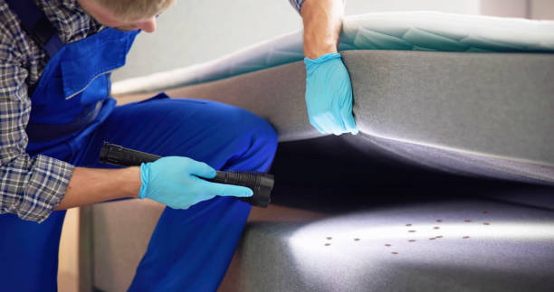 Best Best Pest Control Companies  in Parkville, MO