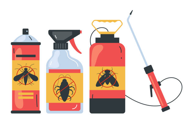 Best Termite Control Services  in Parkville, MO