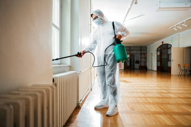 Best Flea Control Services  in Parkville, MO