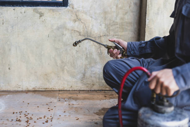 Best Pest Prevention Services  in Parkville, MO