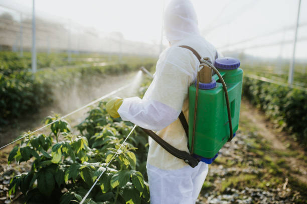 Best Best Pest Control Companies  in Parkville, MO